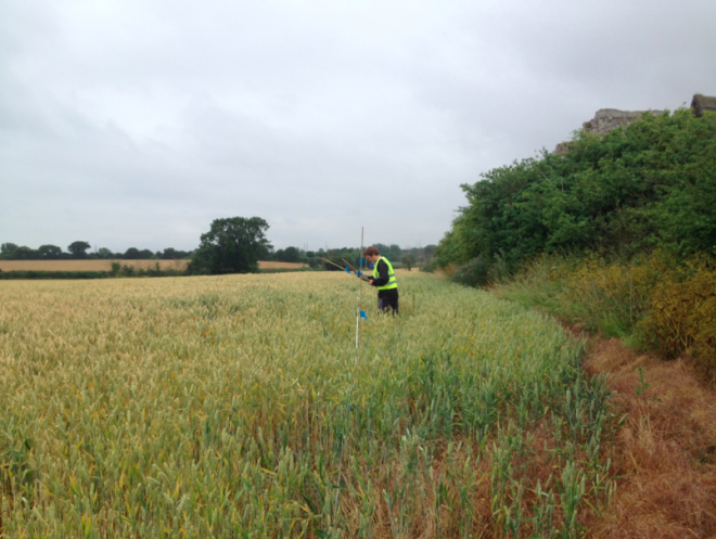 Glenn does some geophysics