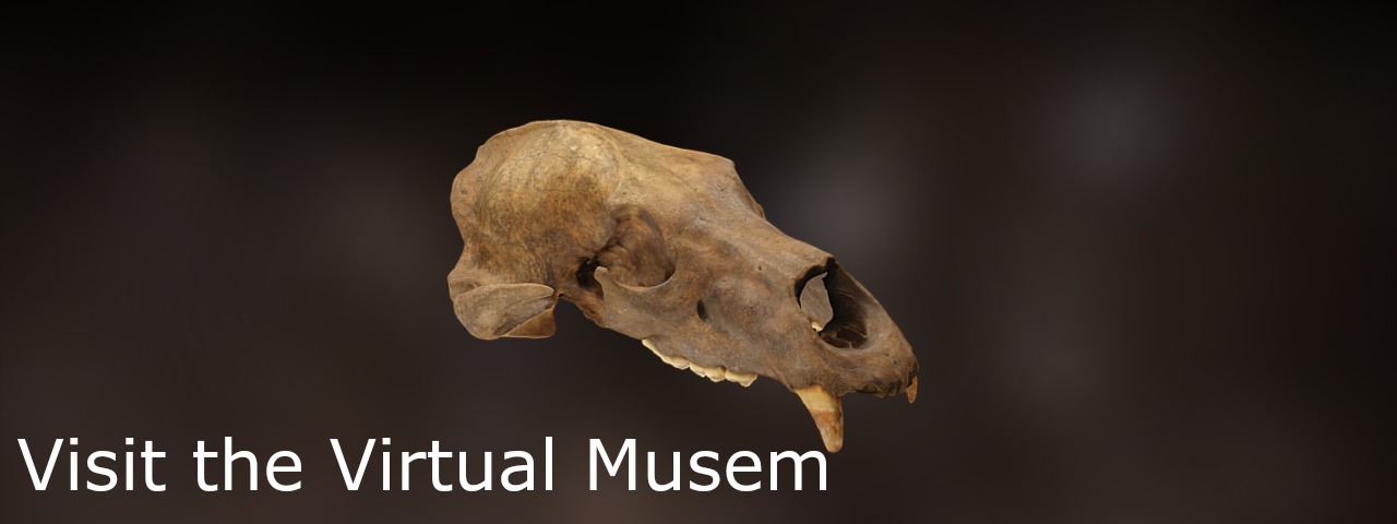 visit-victoria-cave-virtual-museum